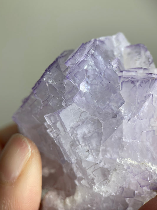 Purple Edge Fluorite on Matrix — China | Mineral Specimen Display