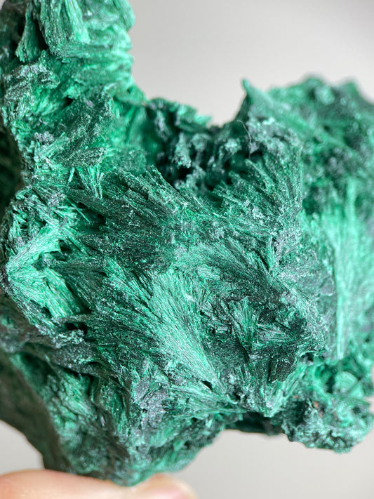 Detail of fibrous malachite showing natural needle-like green crystal texture