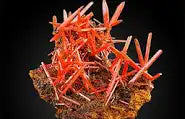 Crocoite: The Fire Within Stone — A Rare Specimen of Radiance and Raw Power
