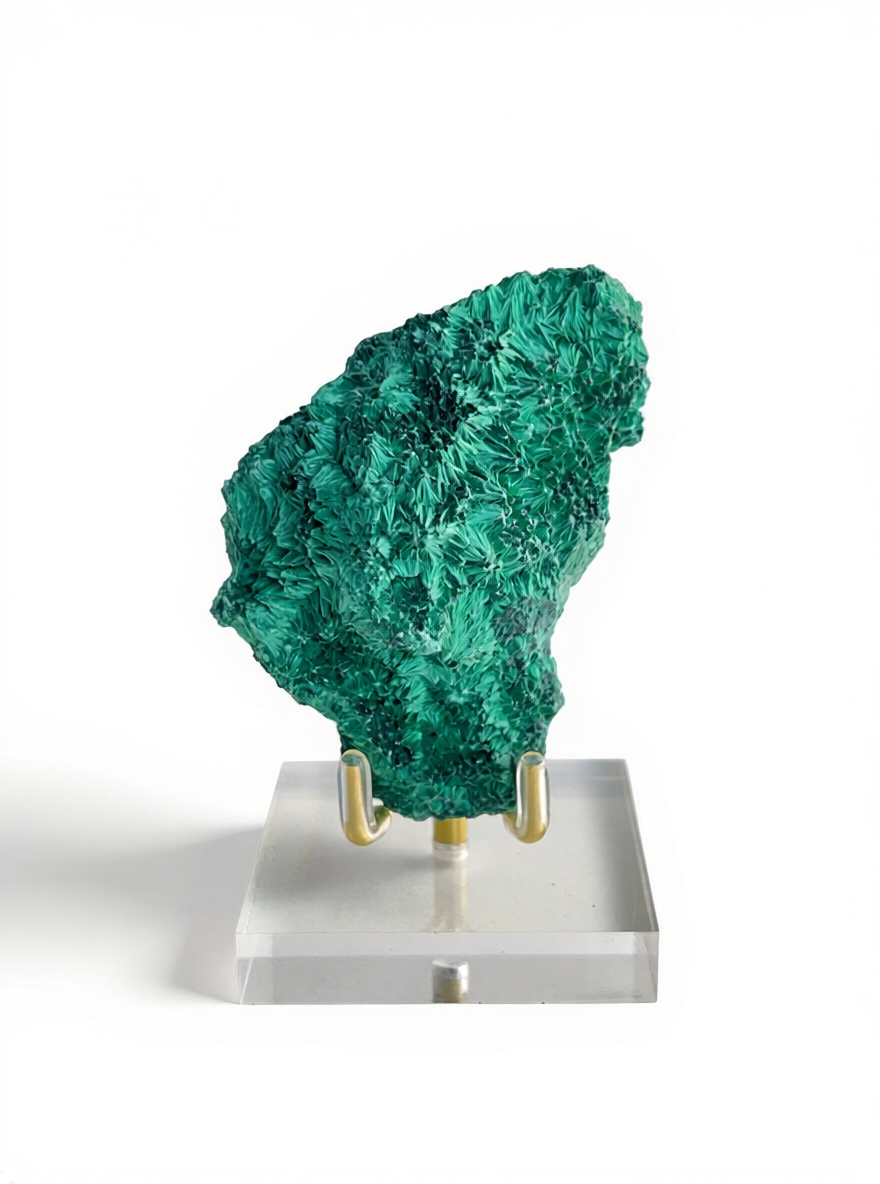 green fibrous velvet malachite from Katanga Congo showing radiating crystal structure front view