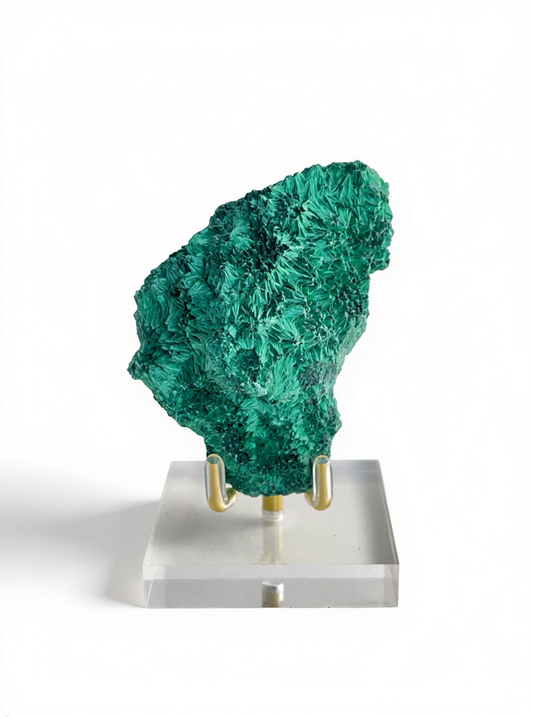 green fibrous velvet malachite from Katanga Congo showing radiating crystal structure front view