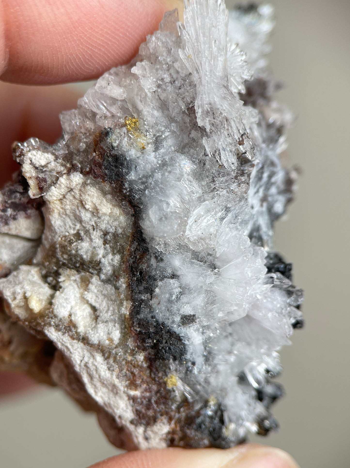 Detail of delicate acicular Creedite crystals with black matrix contrast