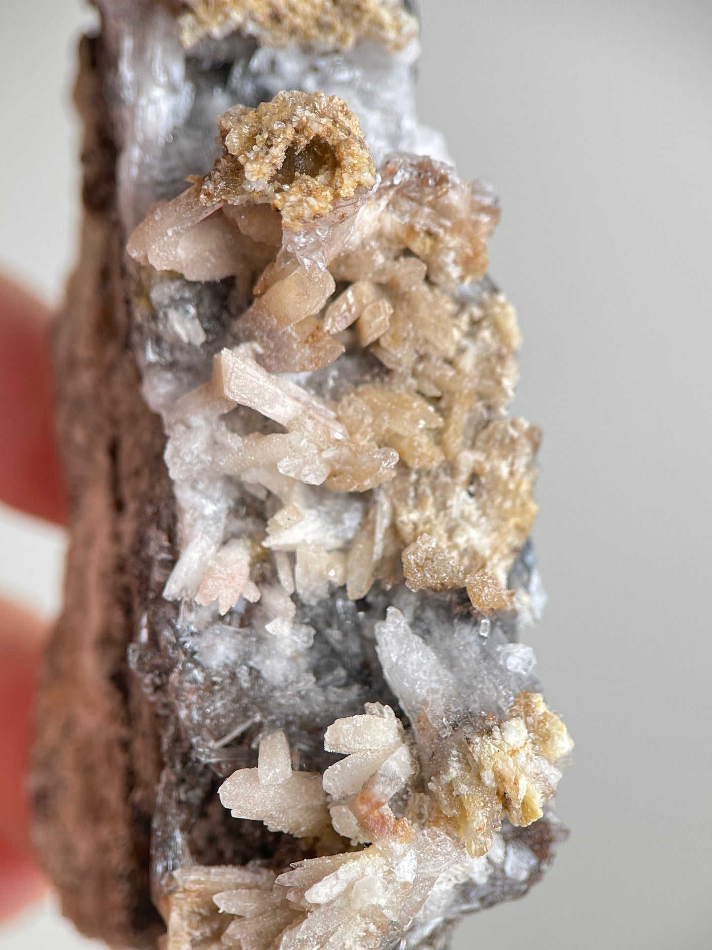 Close-up of pale Creedite flower crystal sprays on dark natural matrix