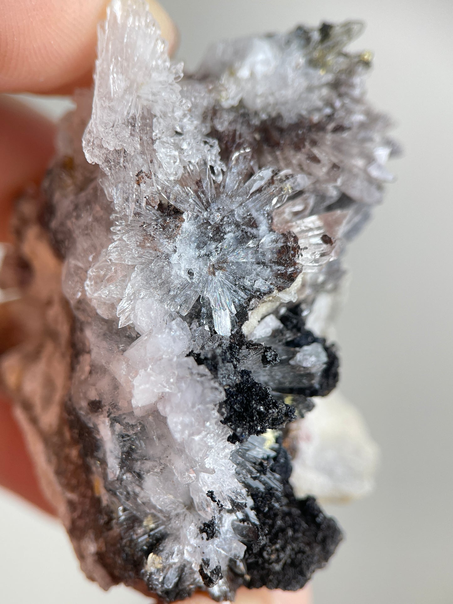Close-up of pale Creedite flower crystal sprays on dark natural matrix
